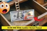 $100 Bill With Ladder Serial Found in Office Desk Drawer — Valued at $880,000